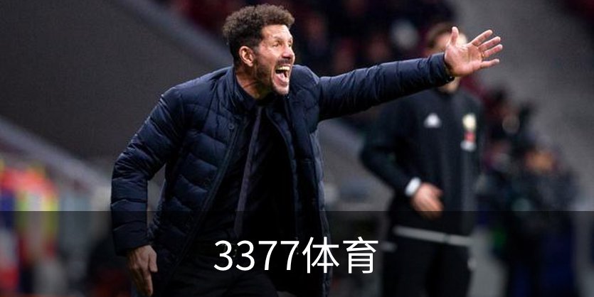 3377体育介绍